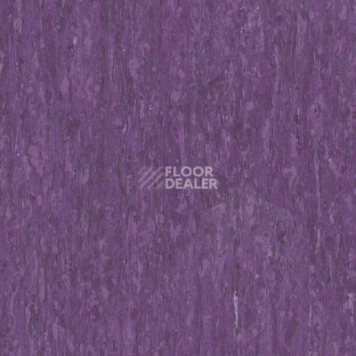 Линолеум Tarkett iq Optima LILCA 0256 фото 1 | FLOORDEALER